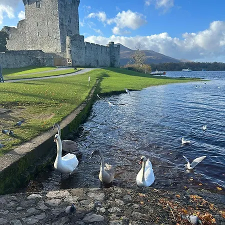 Cosy Town House - 3 Minute Walk To Town Centre With Free Parking And Wifi Sleeps 6 * Killarney