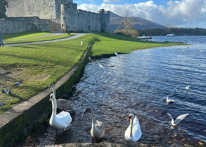 Luxury 2 Bedroom Townhouse - Town Centre 3 Minute Walk -free Parking -wifi * Killarney